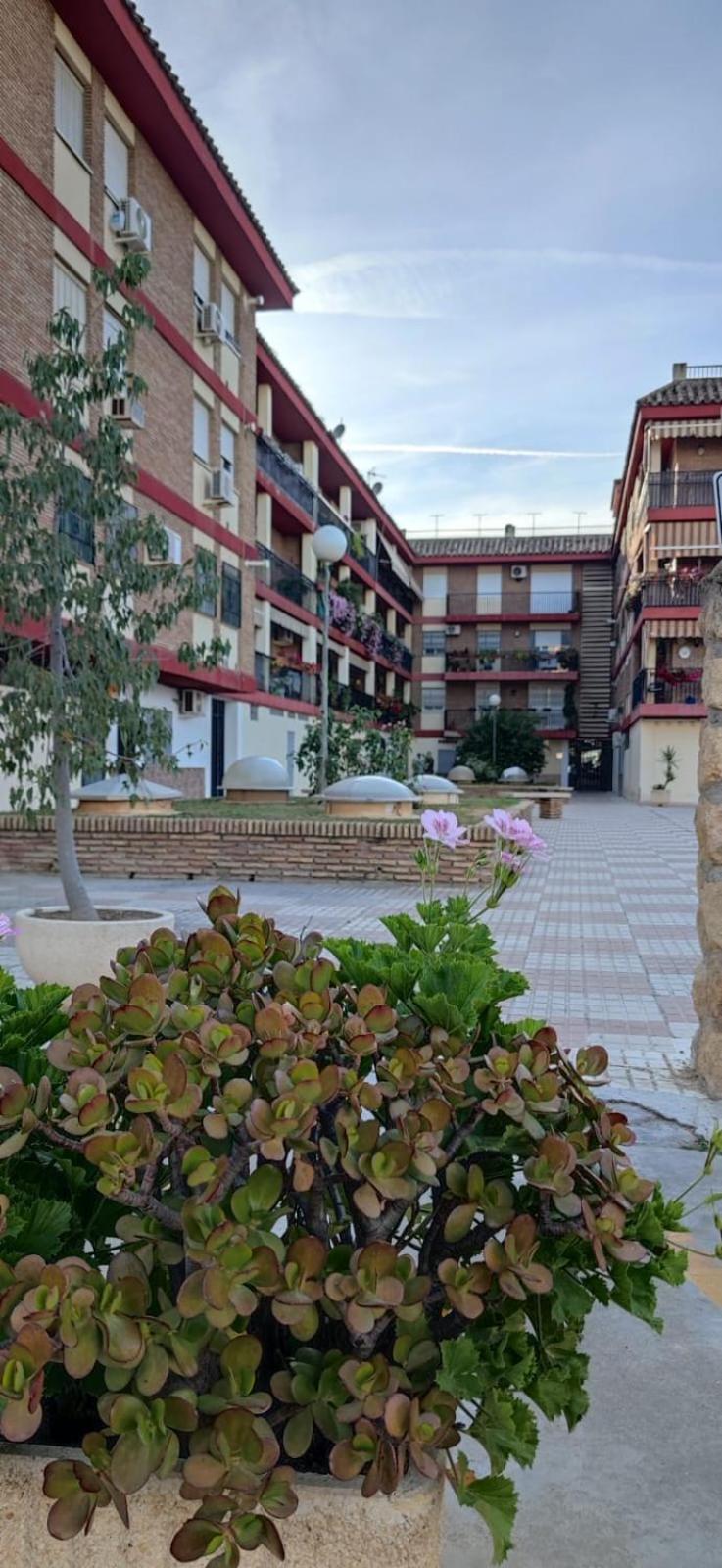 Loft A La Verita River, Parking Free Cordoba Exterior photo
